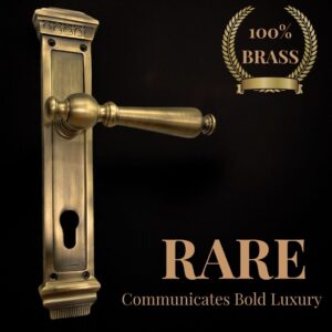 Rare Mortice Handle – Solid Brass Door Hardware