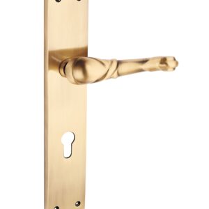 Brass Mortice Handle – Blonde