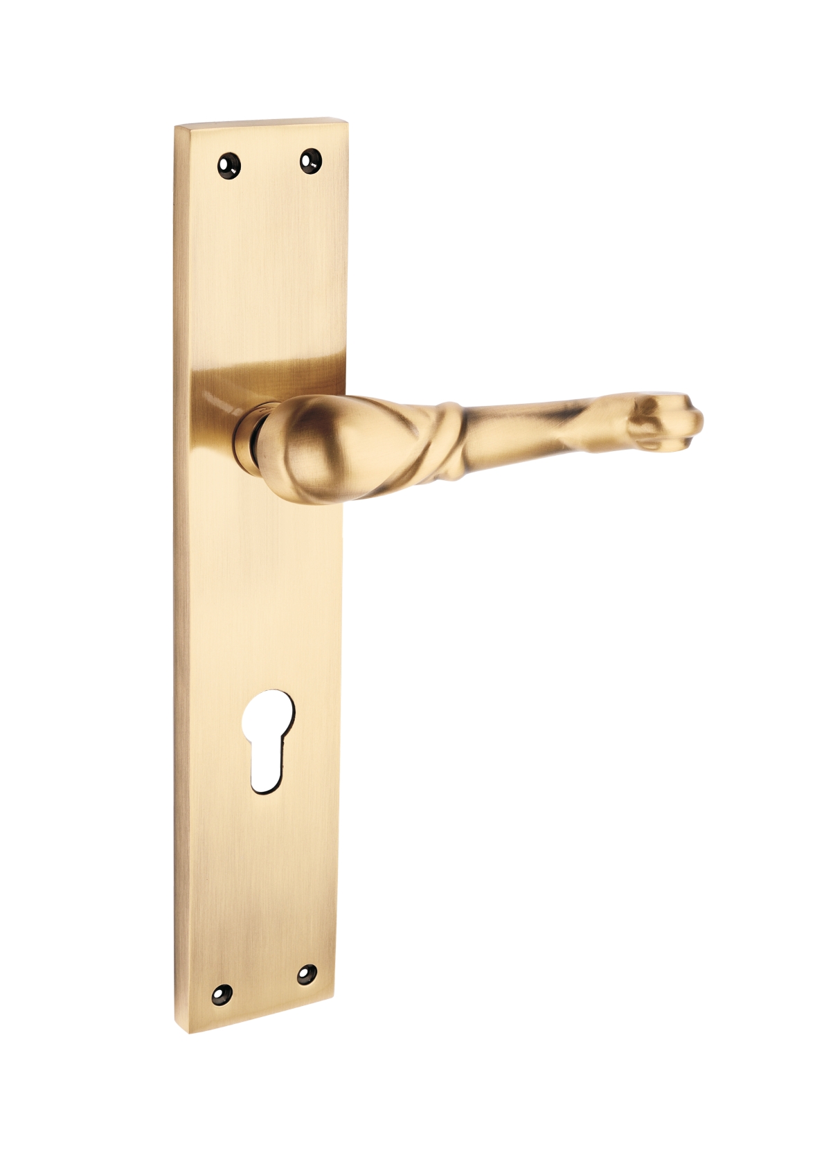 Brass Mortice Handle – Blonde