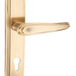 Brass Mortice Handle – Fosca