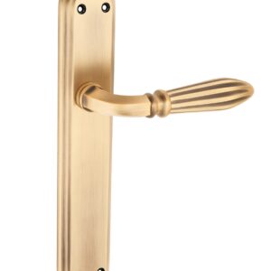 Brass Mortice Handle – Golden