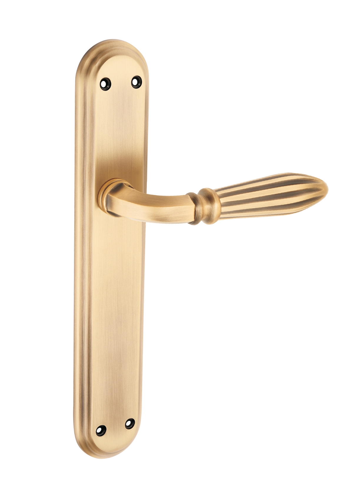 Brass Mortice Handle – Golden