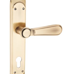 Unique Mortice Handle – Designer Door Handle