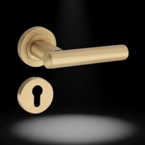 Brass Exclusive Lever on Rose – Lodhi