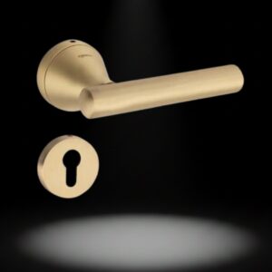 Brass Exclusive Lever on Rose – Oberoi