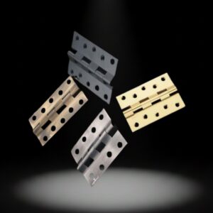 Brass Heavy Hinge – With Screw