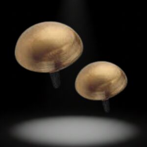 Premium Brass Nails – Decorative Brass Pins for Doors & Furniture