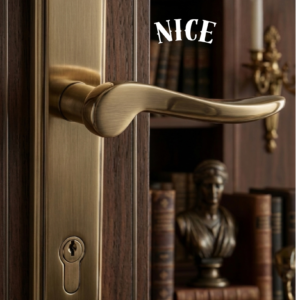 Premium Mortice Handle – NICE