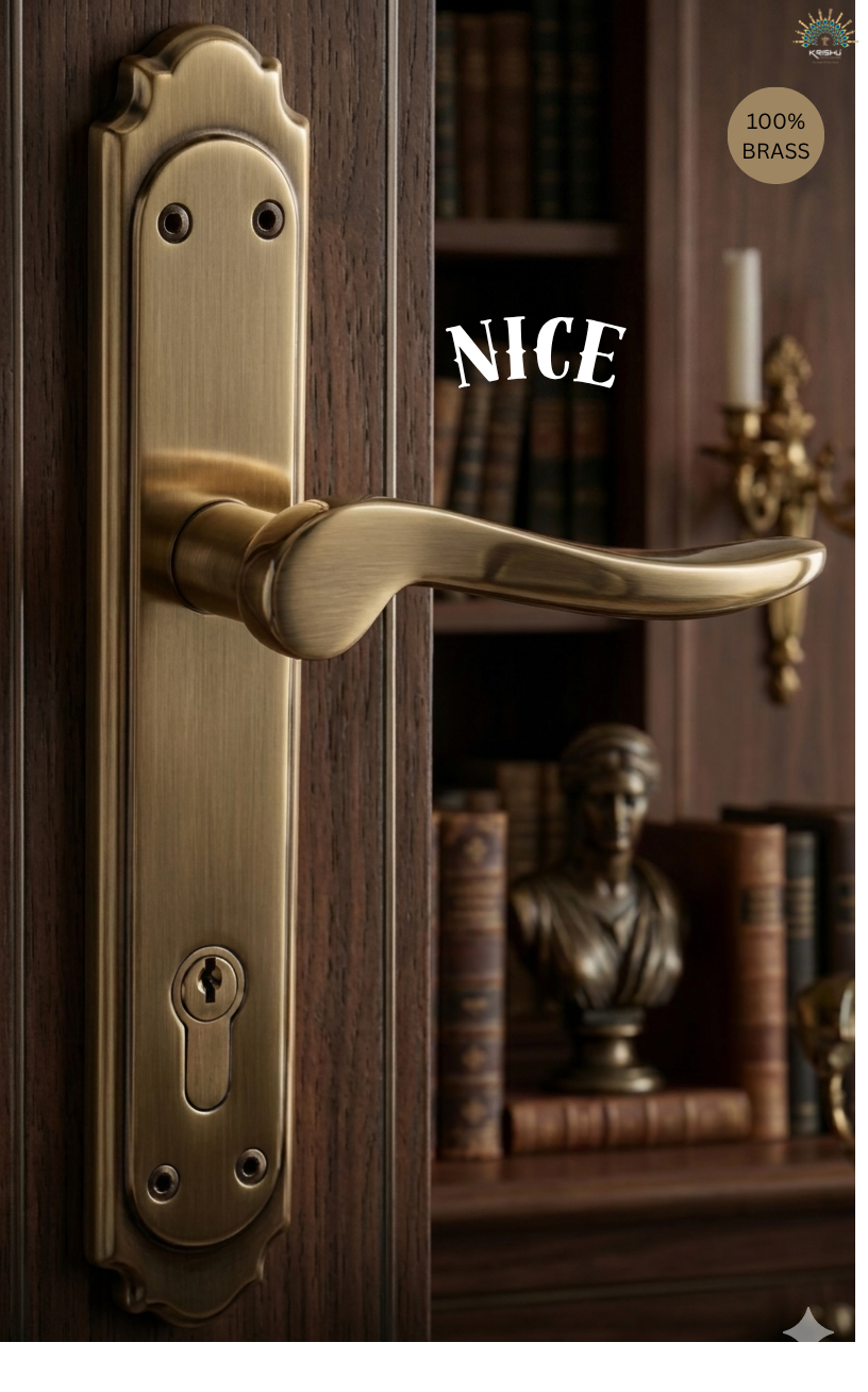 Premium Mortice Handle – NICE