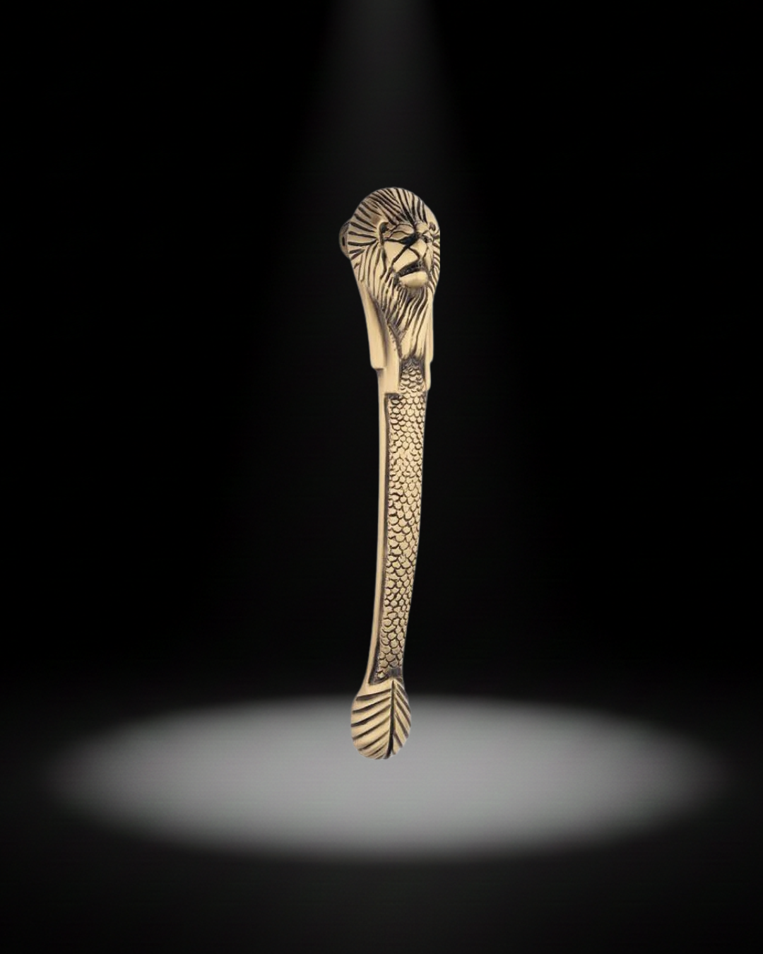 Brass Main Door Handle – LION