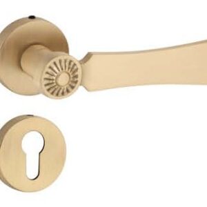 Brass Lever On Rose Handle – TERRA