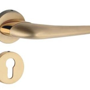 Brass Lever On Rose Handle – NEXON