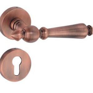 Brass Lever On Rose Handle – RARE