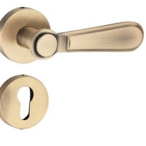Brass Lever On Rose Handle – UNIQUE