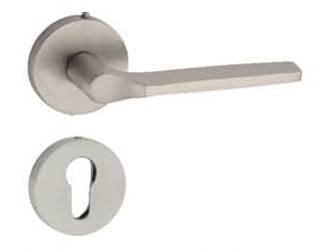 Brass Lever On Rose Handle – DASH